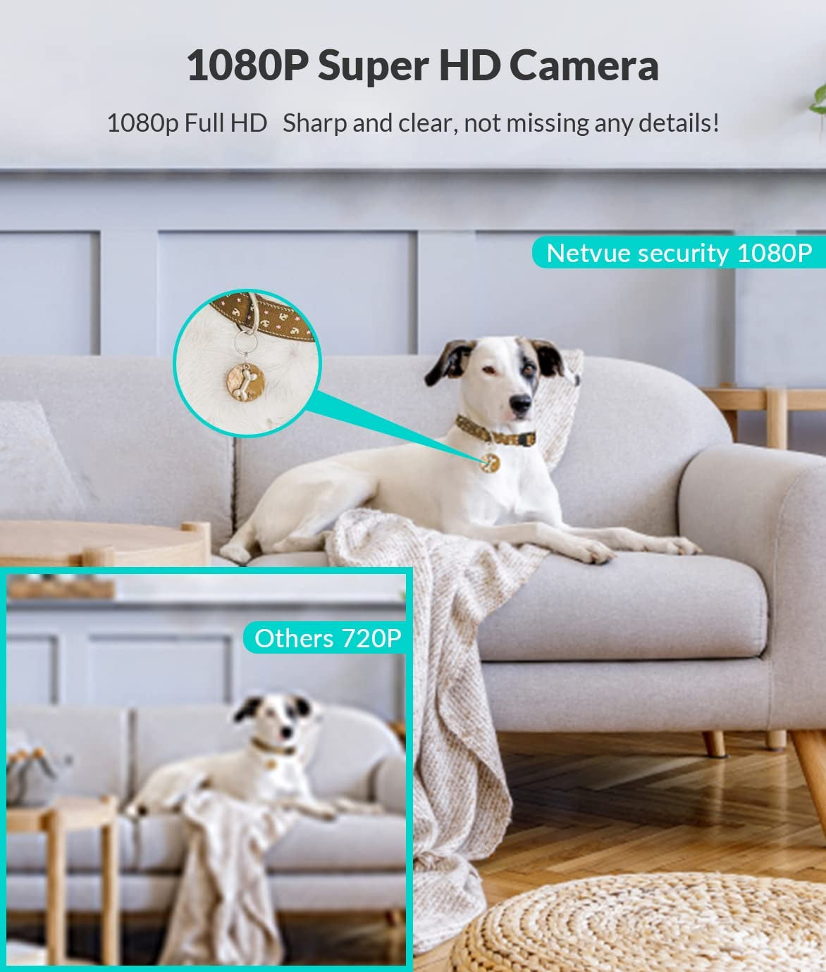 Indoor Camera, 1080P FHD 2.4Ghz Wifi Pet Camera, Home Camera for Pet/Baby, Dog Camera 2-Way Audio, Indoor Security Camera Night Vision, AI Human Detection, Cloud Storage/Tf Card, White